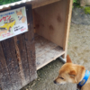 早速ケンケンの小屋に貼らせていただきました。